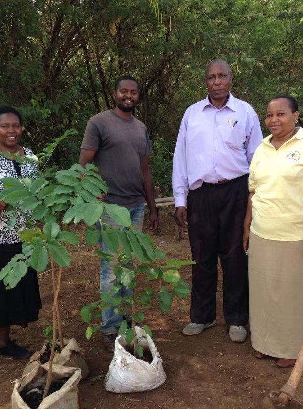 Four Global Forest Coalition members standing beside young trees in sacks at a tree nursery in Tanzania