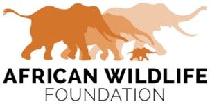 African Wildlife Foundation logo