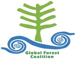 Global Forest Coalition logo