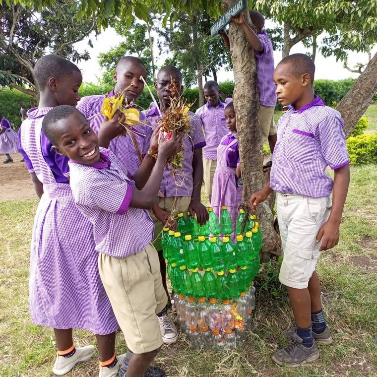 Students in purple uniforms building a planter from green plastic bottles around a tree